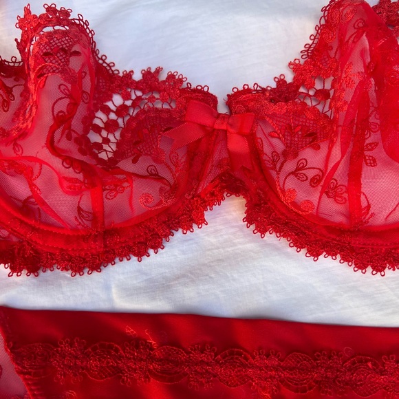 Simone Perele WISH SET demi bra and thong panties in RUBY  BNWT 32c and M thong - Picture 4 of 16